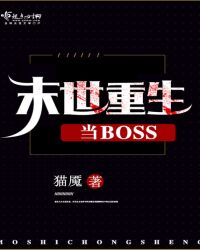 ĩBOSS