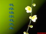 花落谁家花无主