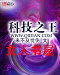 科技之王