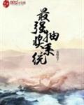 ǿ齱ϵͳtxt
