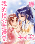 我是贼婆你是王