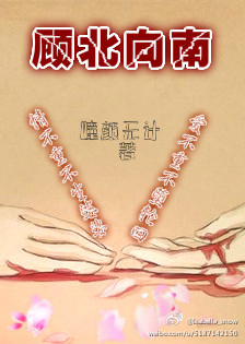 顾北向南