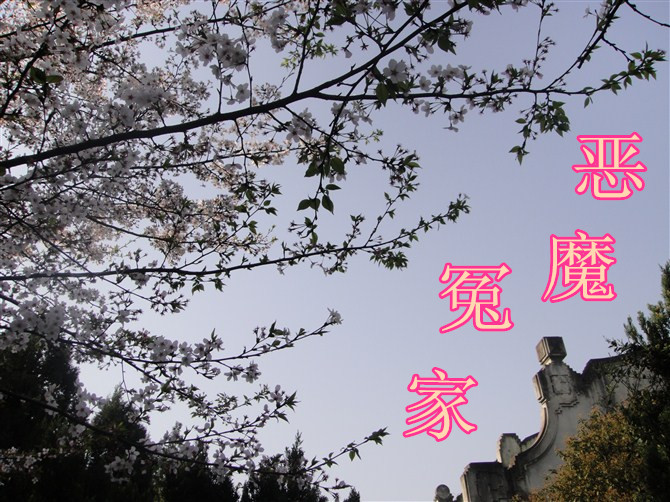 恶魔冤家