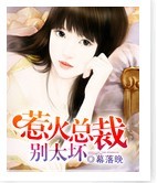 惹火总裁别太坏