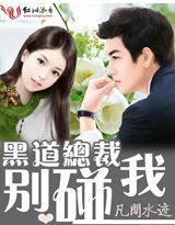 黑道总裁别碰我