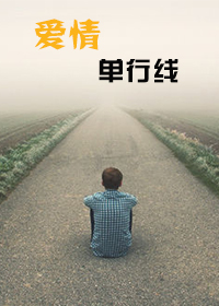 鵥txt
