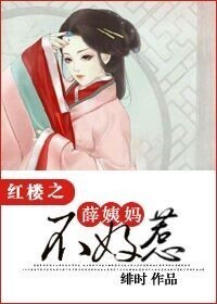 (红楼同人)红楼之薛姨妈不好惹