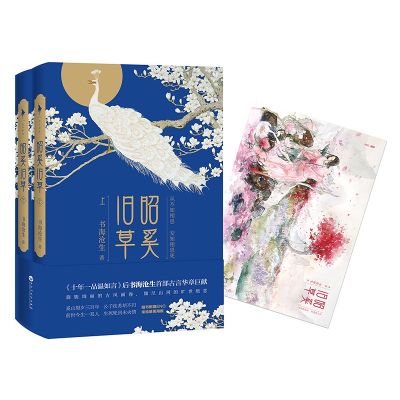 昭奚旧草