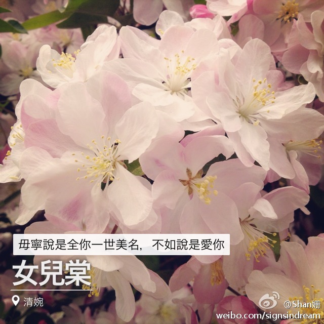 女儿棠