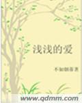 浅浅的爱