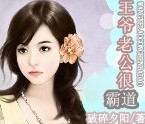王爷老公很霸道